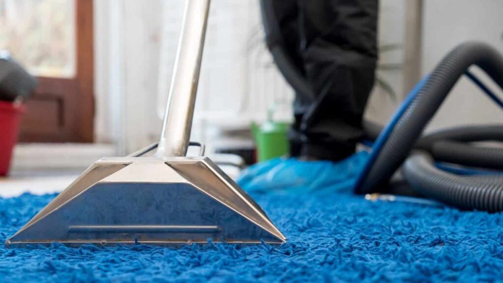 Carpet Cleaning